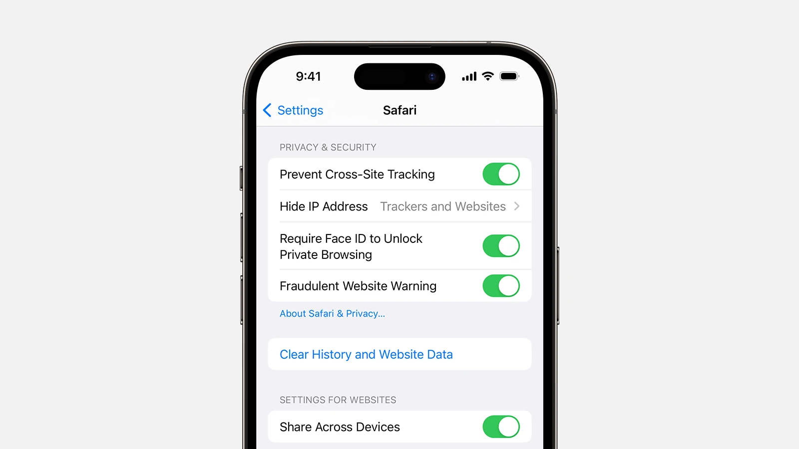 İPhone'da Tarayıcı Önbelleği Nasıl Temizlenir: Adım Adım Kılavuz